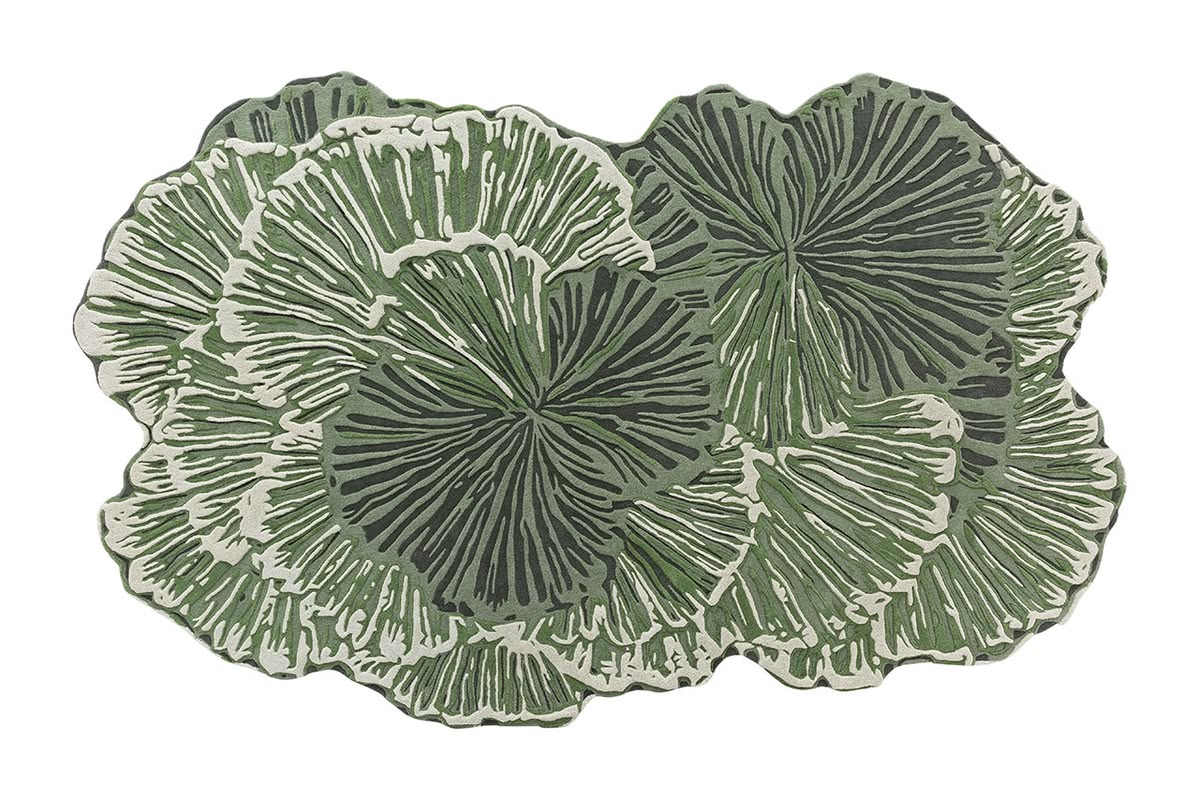 Corals